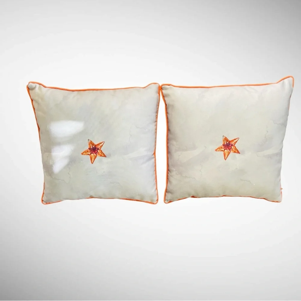 FRONTGATE NEW INDOOR OUTDOOR ACCENT PILLOWS 20 x 20